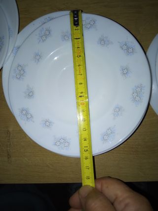 Platos Arcopal  con logo Clesa 2,25€ unidad