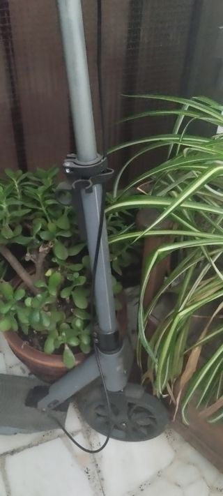 Patinete Aluminio Plegable TIJUANA CITY 200