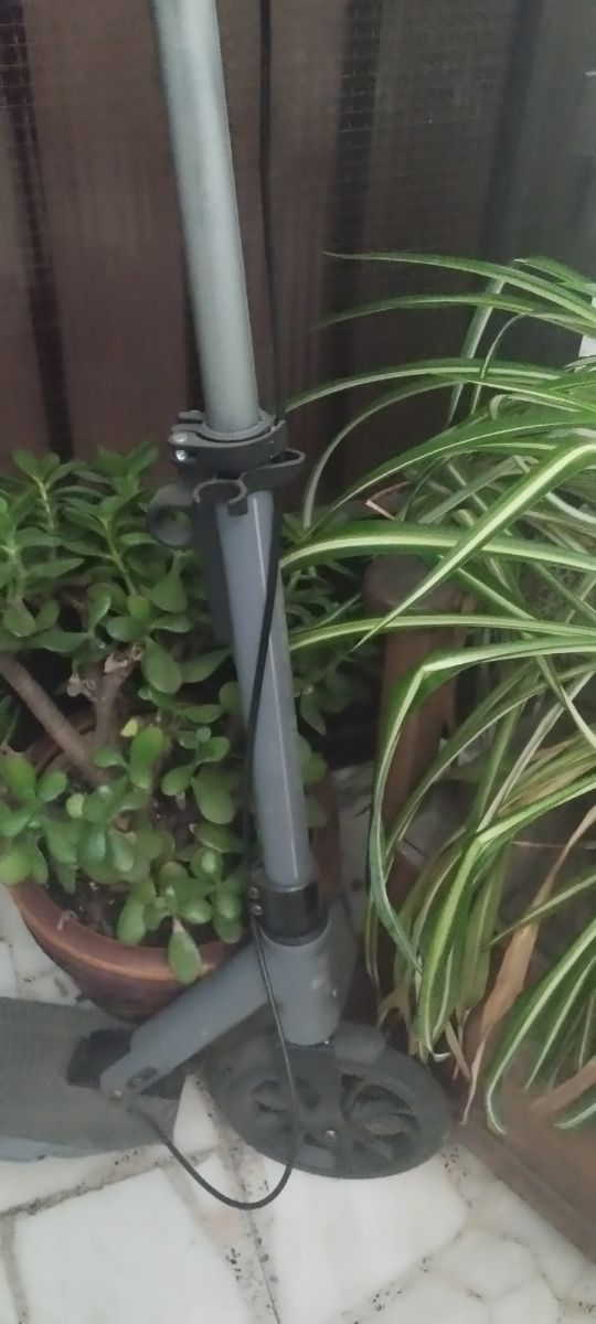 Patinete Aluminio Plegable TIJUANA CITY 200