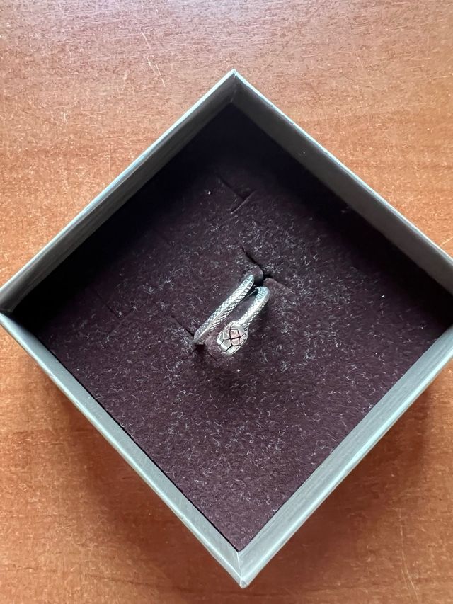 Anillo Serpiente Plata Ajustable