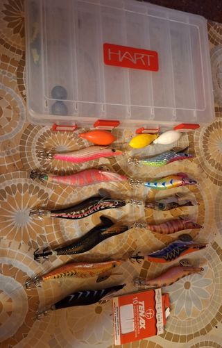 LOTE DE PESCA CONTIENE CAJA,GAMBAS,PLOMOS,ANZUELOS