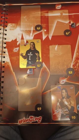 Album Racc. Carte Wrestling Pro-Minter