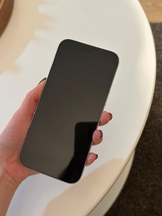 iPhone 16 Pro Max 256GB Titanio Blanco