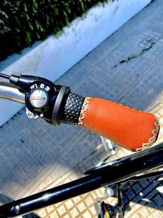Bicicleta estilo Amsterdamer negra