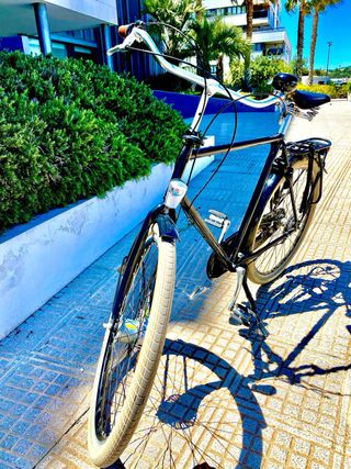 Bicicleta estilo Amsterdamer negra