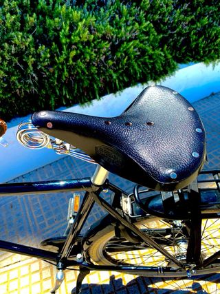 Bicicleta estilo Amsterdamer negra