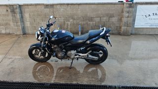 Honda CB 600 pegatina B