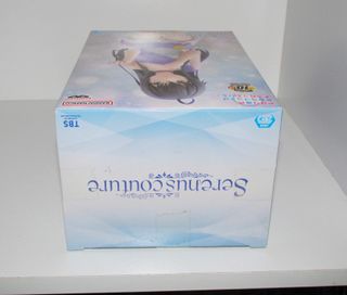 10th Anniversary Serenus Couture Yukino Yukinoshit