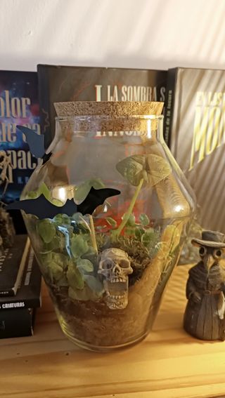 Terrarios autosostenible. Jardines eternos