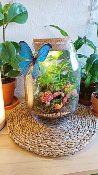 Terrarios autosostenible. Jardines eternos