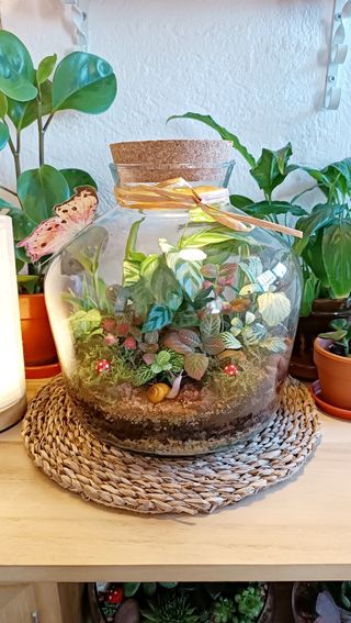 Terrarios autosostenible. Jardines eternos