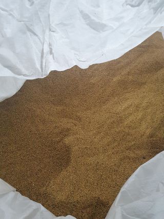Semilla de Alfalfa