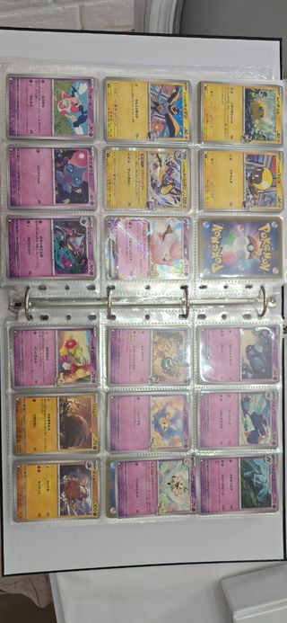 Pokémon Set incompleto Battle Partners