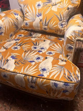 Sillones de tela con estampado de loros