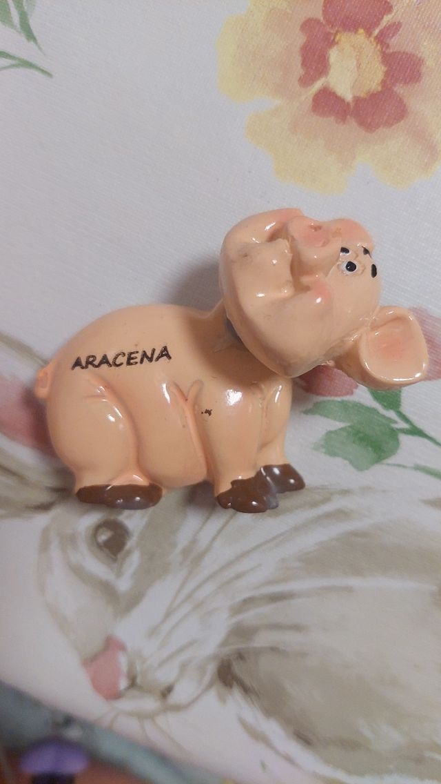 Imán de cerdo ibérico jamón con texto ARACENA