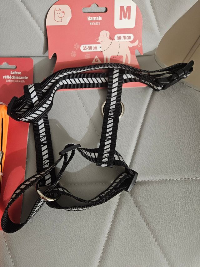 Arnés y Correa para Perro Talla M
