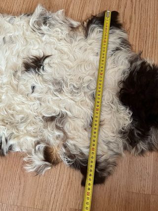 Alfombra de lana. Nueva