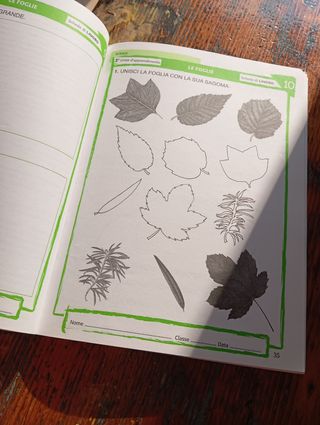 Guida di scienze, tecnologia informatica. Per l...