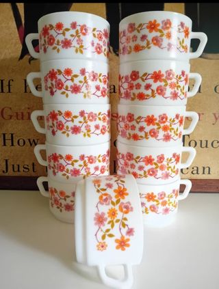 Oferta 11 tazas Arcopal Scania Nocilla