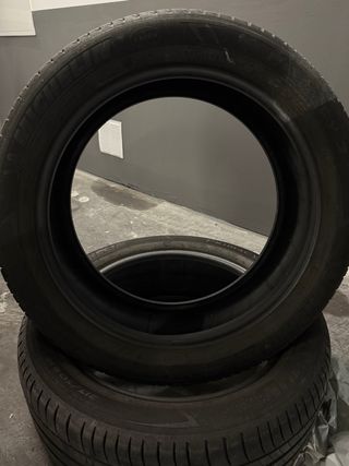 2 Neumaticos Michelin