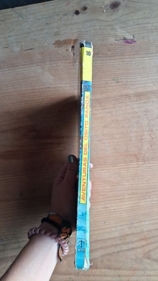 Libro La cabaña misteriosa