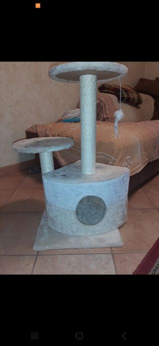 Casetta tiragraffi per gatti