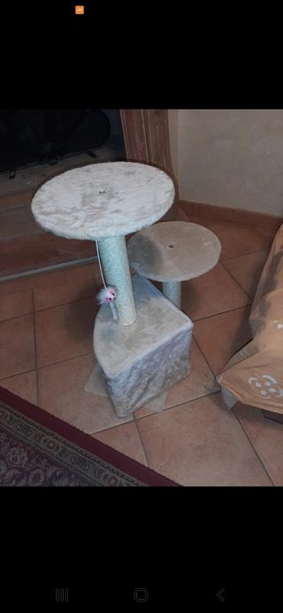 Casetta tiragraffi per gatti