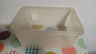 Cajita de plástico 32x22x15 cm - gratis