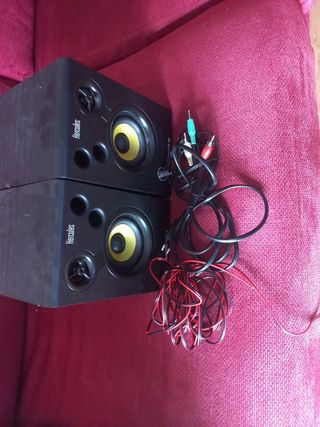AltavocesHerculesDJMonitor32Negros
No negociable 