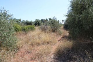 Terreno en venta en Madrigal en Villarreal