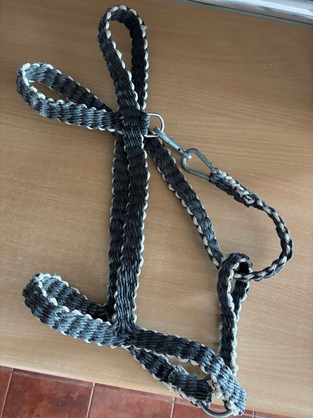 Cabezada para caballos trenzada