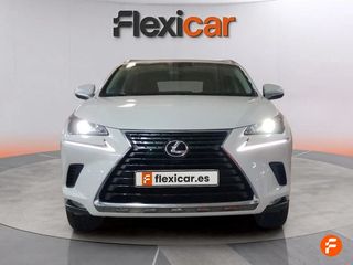 Lexus NX 2.5 300h Business 2WD