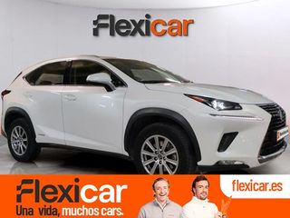 Lexus NX 2.5 300h Business 2WD