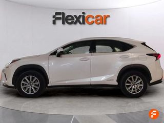 Lexus NX 2.5 300h Business 2WD