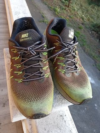 Zapatillas Nike Zoom Pegasus 33 Running Marrón/Ver