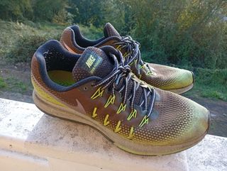 Zapatillas Nike Zoom Pegasus 33 Running Marrón/Ver