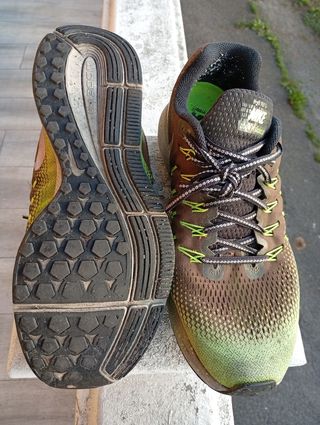 Zapatillas Nike Zoom Pegasus 33 Running Marrón/Ver