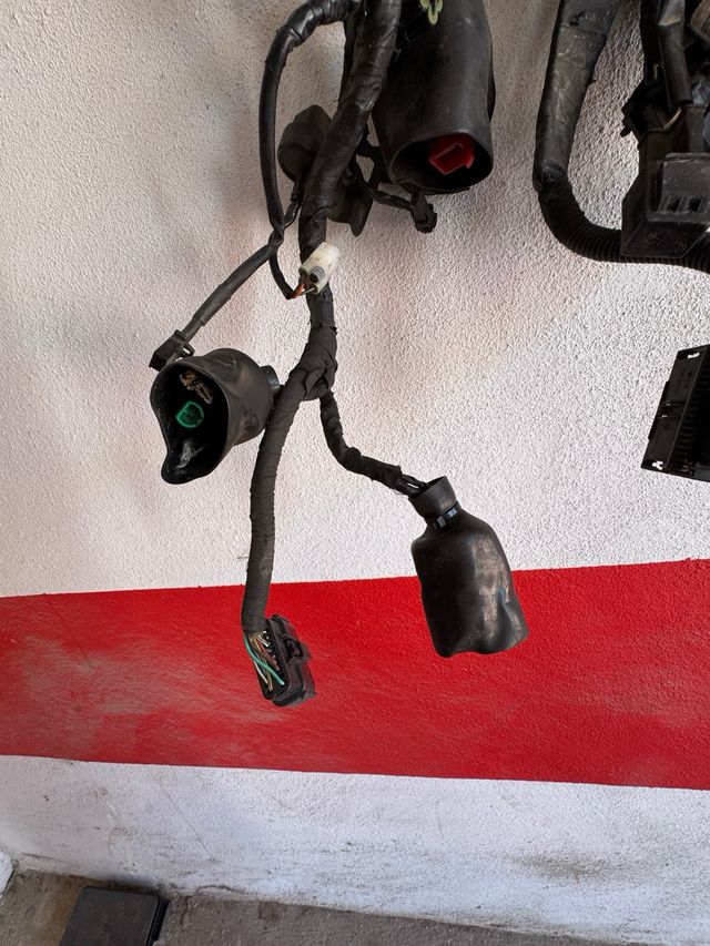 Cableado Himalayan 411 2018