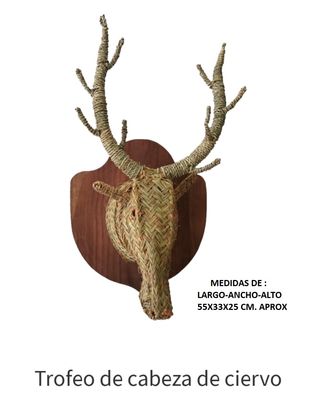 Trofeo cabeza de toro