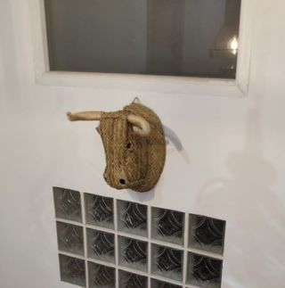 Trofeo cabeza de toro