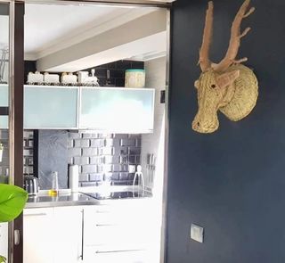 Trofeo cabeza de ciervo