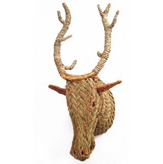 Trofeo cabeza de ciervo