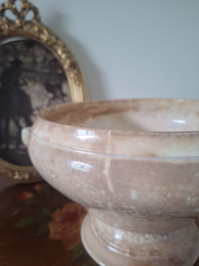 Legumbrera Digoin Sarreguemines