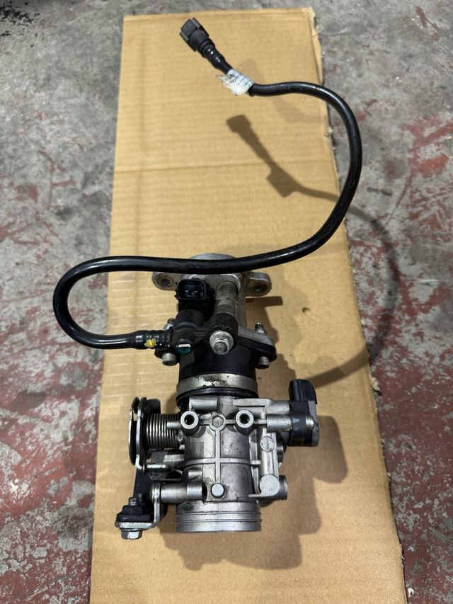 Inyección / Mariposa Himalayan 411