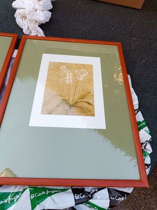 Lote de 2 cuadros decorativos