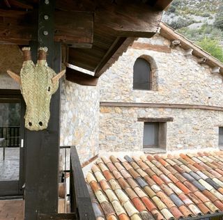 Trofeo cabeza jirafa esparto