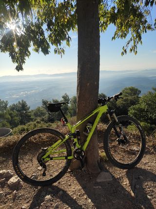 Trek Doble Carbono 29 Fox - XT - Reverb