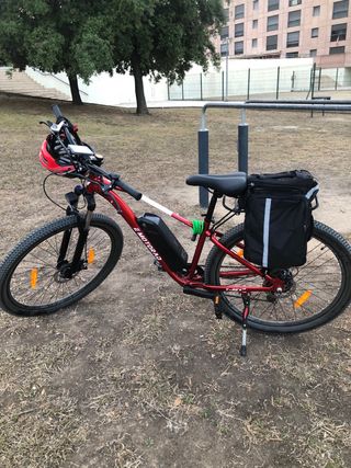 Bicicleta Eléctrica E Motorad T-Rex 29