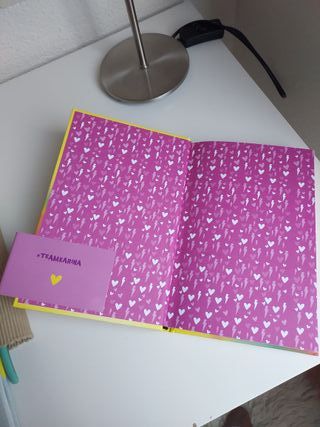 Estrellas en Nueva York (Karina & Marina 3)