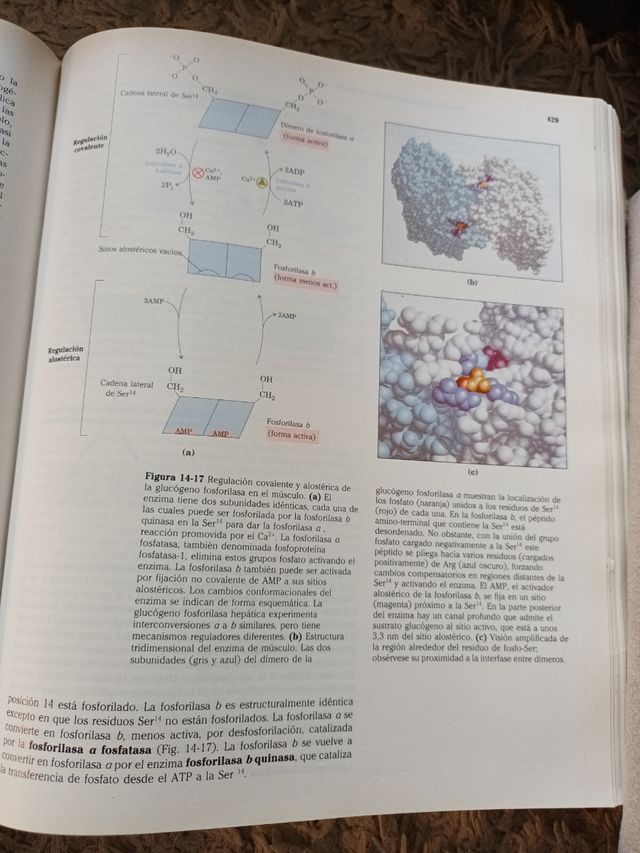 Principios de Bioquimica - 2da Edicion